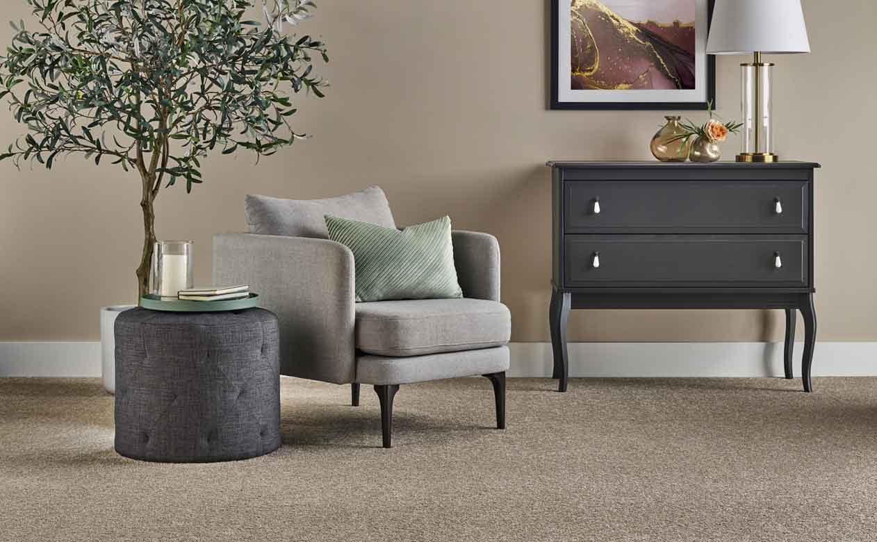 Living room carpet flooring in Denver, CO